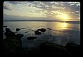 02500-00215-Florida Scenes.jpg
