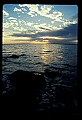 02500-00217-Florida Scenes.jpg