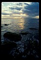 02500-00219-Florida Scenes.jpg