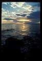 02500-00220-Florida Scenes.jpg