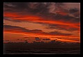 02500-00221-Florida Scenes.jpg
