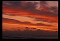 02500-00222-Florida Scenes.jpg