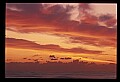 02500-00223-Florida Scenes.jpg