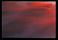 02500-00224-Florida Scenes.jpg