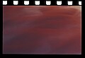 02500-00225-Florida Scenes.jpg