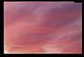 02500-00226-Florida Scenes.jpg