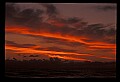 02500-00227-Florida Scenes.jpg