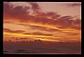 02500-00228-Florida Scenes.jpg