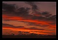 02500-00229-Florida Scenes.jpg