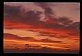 02500-00230-Florida Scenes.jpg