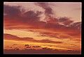 02500-00231-Florida Scenes.jpg
