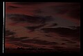 02500-00232-Florida Scenes.jpg