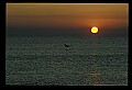 02500-00233-Florida Scenes.jpg
