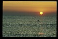 02500-00234-Florida Scenes.jpg