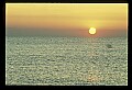 02500-00235-Florida Scenes.jpg