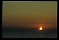02500-00236-Florida Scenes.jpg