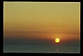 02500-00237-Florida Scenes.jpg