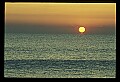 02500-00240-Florida Scenes.jpg