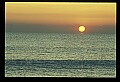 02500-00241-Florida Scenes.jpg