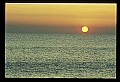 02500-00244-Florida Scenes.jpg