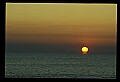 02500-00246-Florida Scenes.jpg