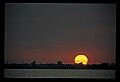 02500-00251-Florida Scenes.jpg
