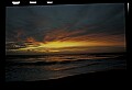 02500-00252-Florida Scenes.jpg