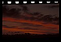 02500-00254-Florida Scenes.jpg
