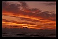 02500-00255-Florida Scenes.jpg