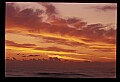 02500-00256-Florida Scenes.jpg