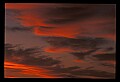 02500-00257-Florida Scenes.jpg