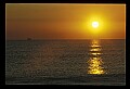 02500-00259-Florida Scenes.jpg