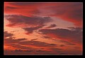 02500-00260-Florida Scenes.jpg