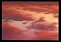 02500-00261-Florida Scenes.jpg