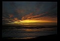 02500-00262-Florida Scenes.jpg