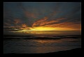 02500-00263-Florida Scenes.jpg