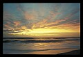 02500-00264-Florida Scenes.jpg
