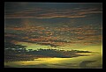 02500-00265-Florida Scenes.jpg