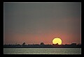 02500-00270-Florida Scenes.jpg