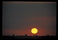 02500-00271-Florida Scenes.jpg
