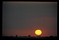 02500-00272-Florida Scenes.jpg