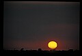02500-00273-Florida Scenes.jpg