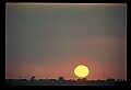 02500-00274-Florida Scenes.jpg