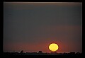 02500-00275-Florida Scenes.jpg
