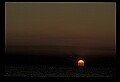 02500-00276-Florida Scenes.jpg