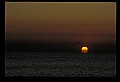 02500-00279-Florida Scenes.jpg