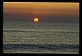02500-00281-Florida Scenes.jpg
