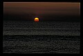 02500-00282-Florida Scenes.jpg