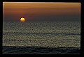 02500-00286-Florida Scenes.jpg