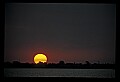 02500-00287-Florida Scenes.jpg
